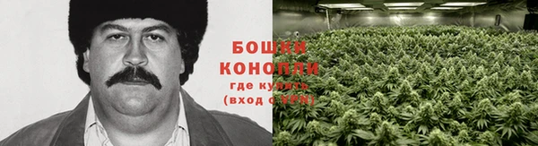 гашик Волоколамск