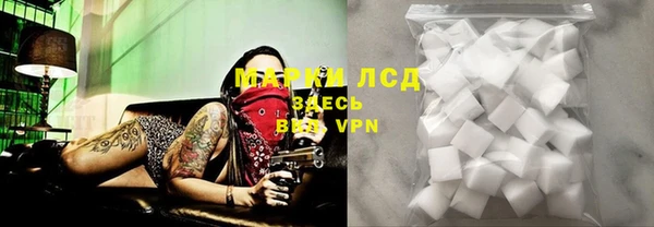 СК Волосово
