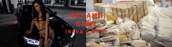 гашик Волоколамск