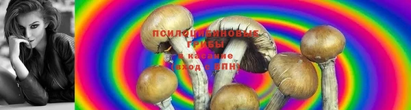ешки Володарск