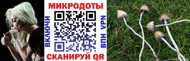 Псилоцибиновые грибы Psilocybe  Купить  Меленки 